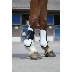 Norton Coloured Tendon Boots