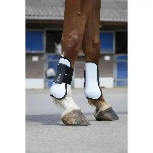 Norton Coloured Tendon Boots